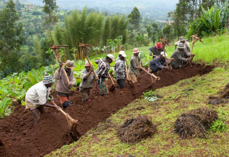 Credit: Nicolas Villaume