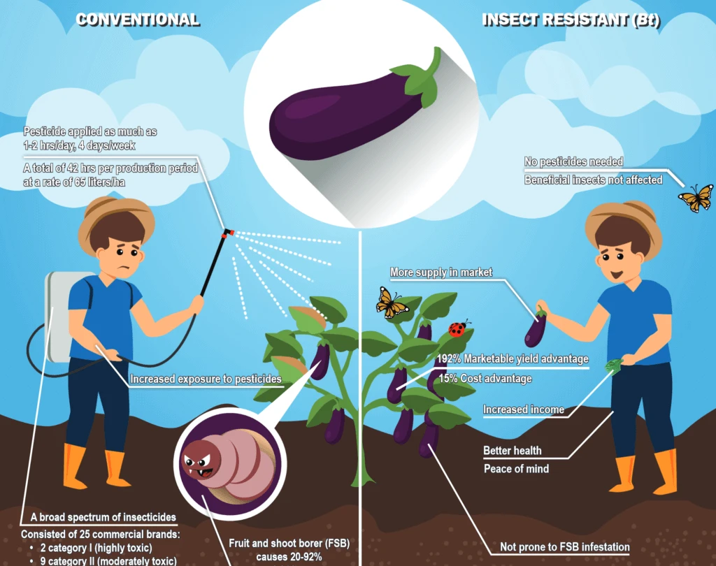 screenshot which eggplant will you choose pdf