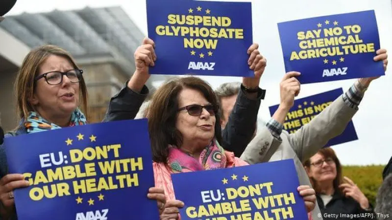 Credit: Deutsche Welle