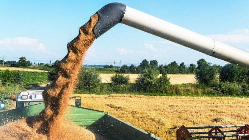 harvesting x
