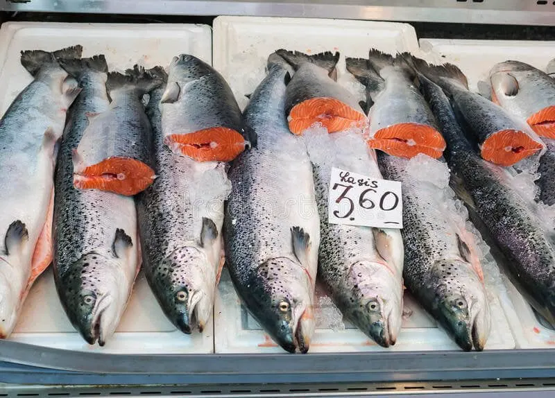 atlantic salmon market dispaly fresh display label contains no trademarks