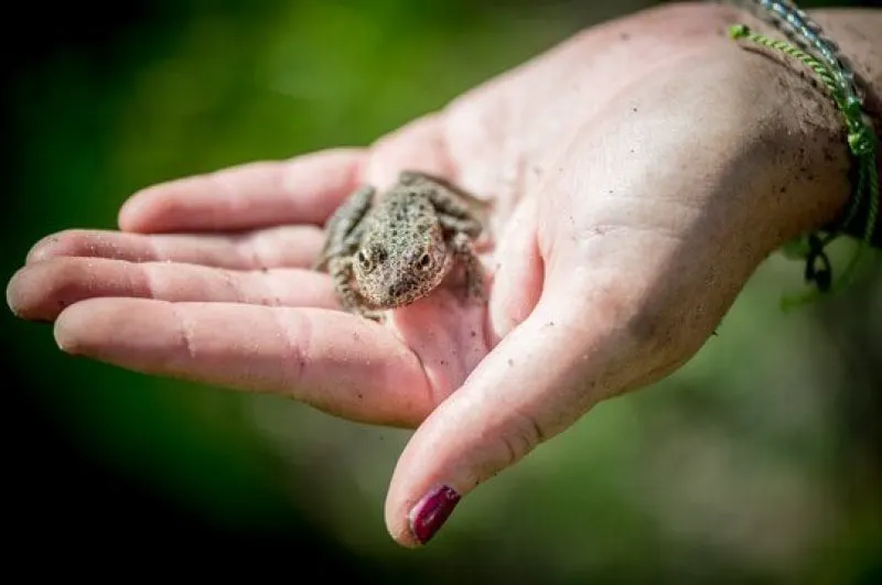 Credit: Emily Kask/Washington Post