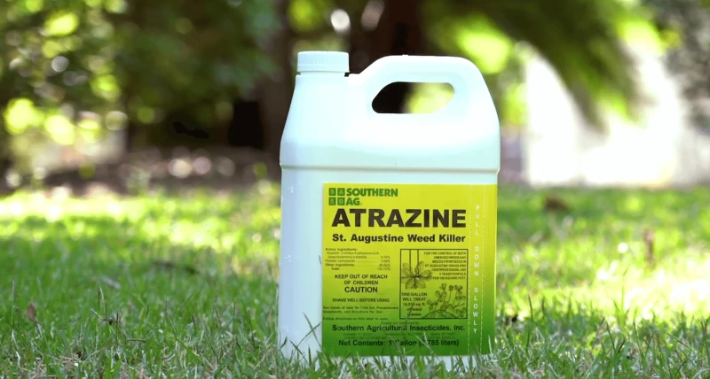 Credit: Sod Solutions