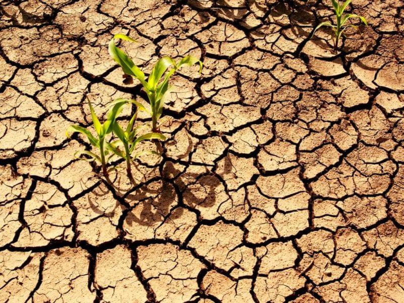 soil in africa x Credit: Afrik21