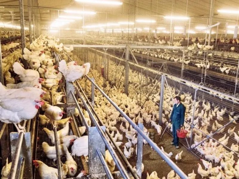 Credit: Luca Locatelli/National Geographic