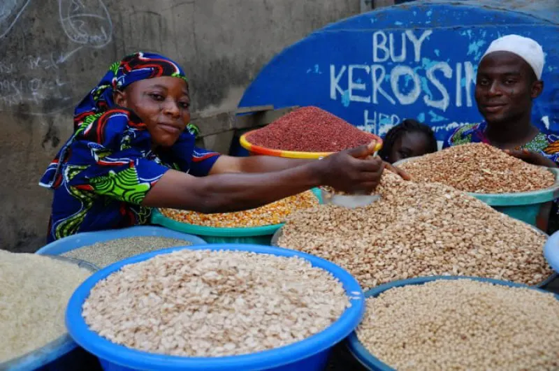 Cowpea market IITA Cowpea market IITA