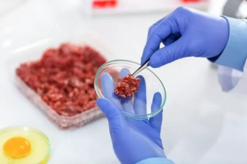 laboratory grown meat to go mainstream in ten years wrbm large laboratory grown meat to go mainstream in ten years wrbm large