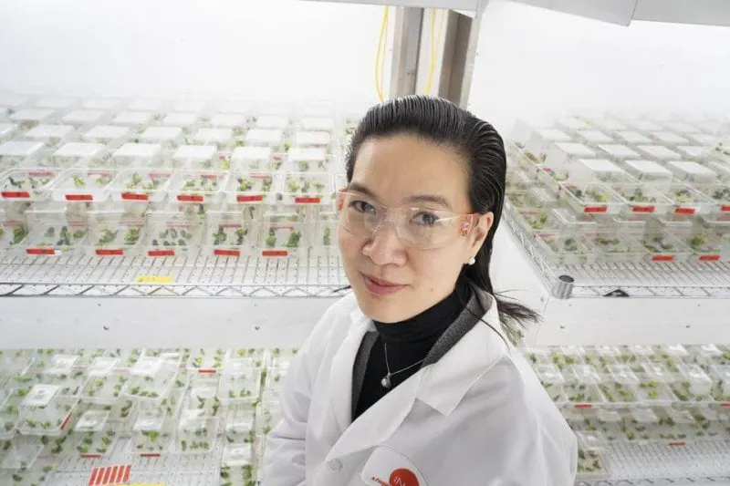 Ponsi Trivisvavet, CEO and director of Inari. Credit: Inari