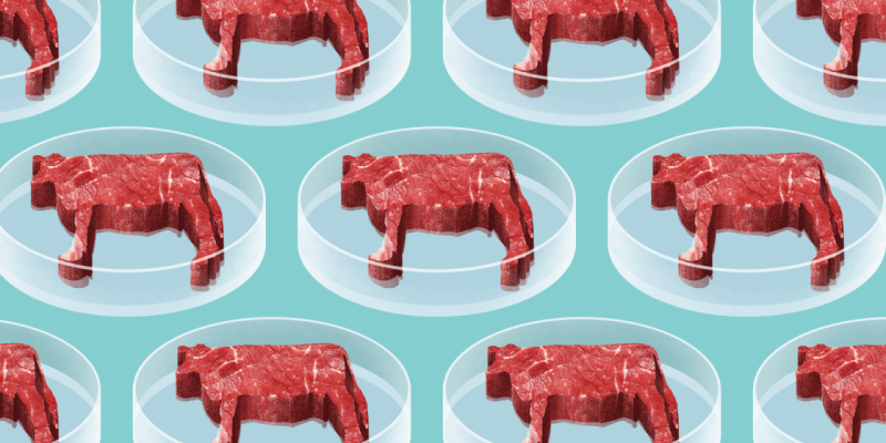 clean meat