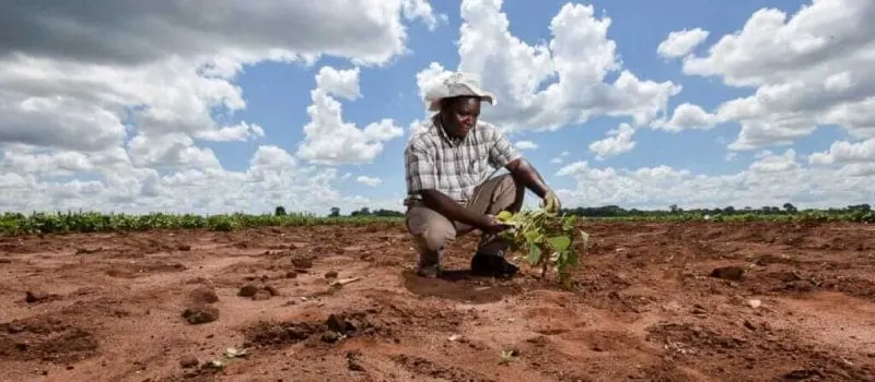 agriculture afrique climat e x agriculture afrique climat e x