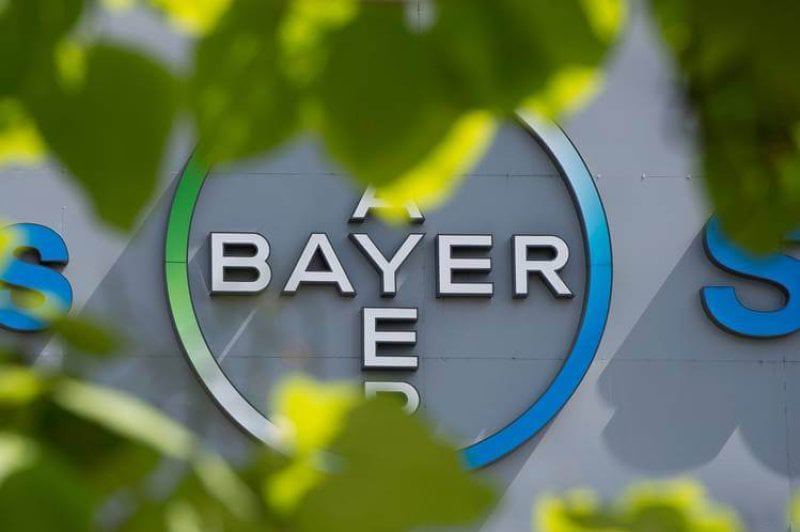 bayer bayer