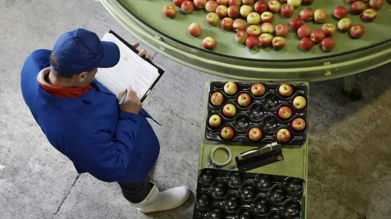 Credit: Alistair Berg