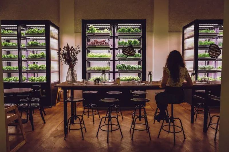 Beba restaurant in the Gropius Bau museum. Credit: Ériver Hijano