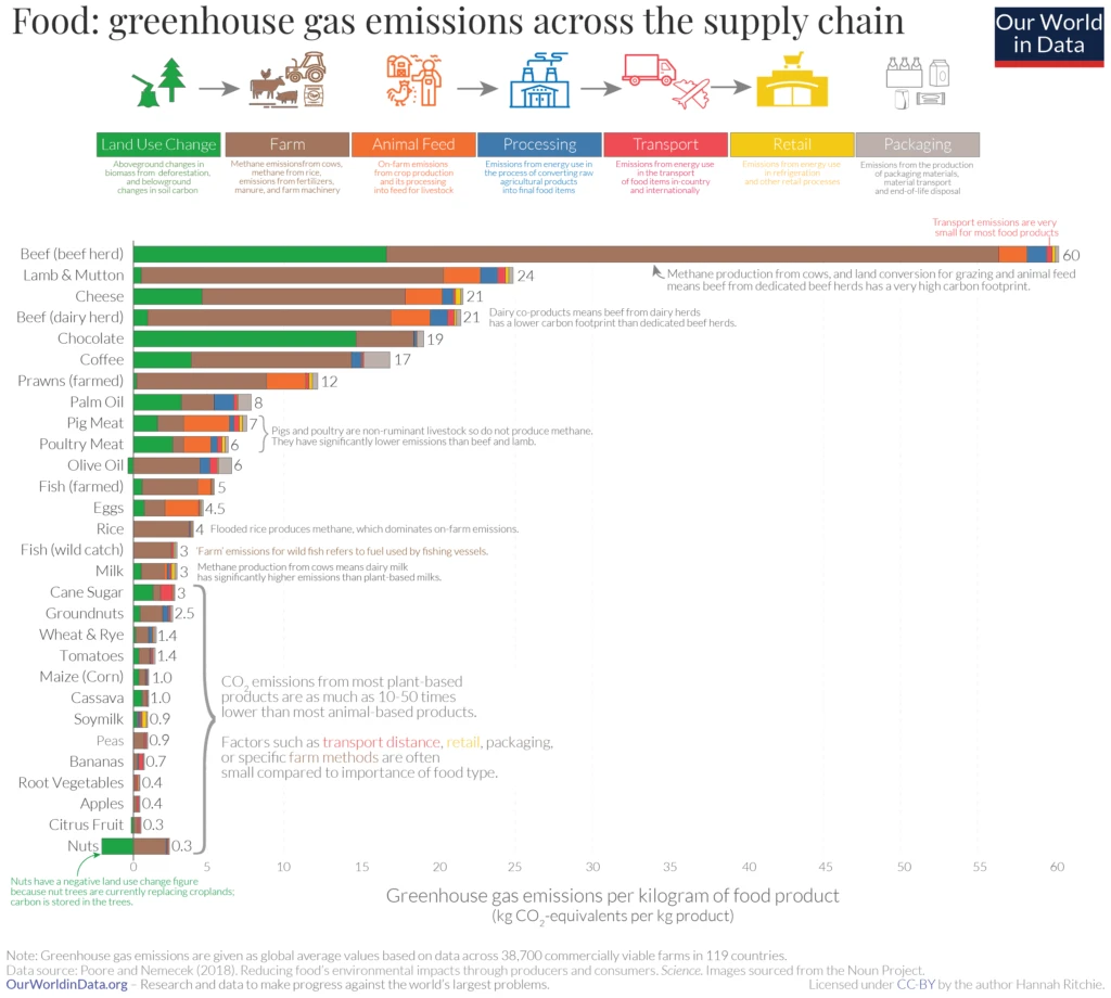 environmental impact of food by life cycle stage