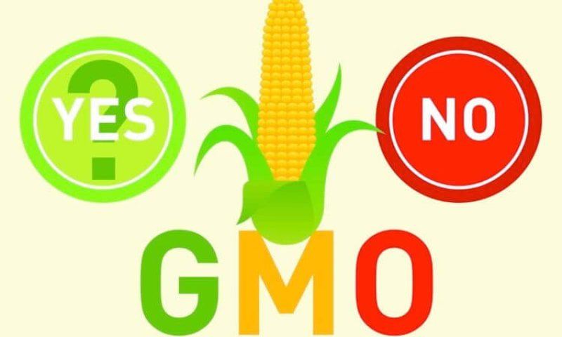 gmo label