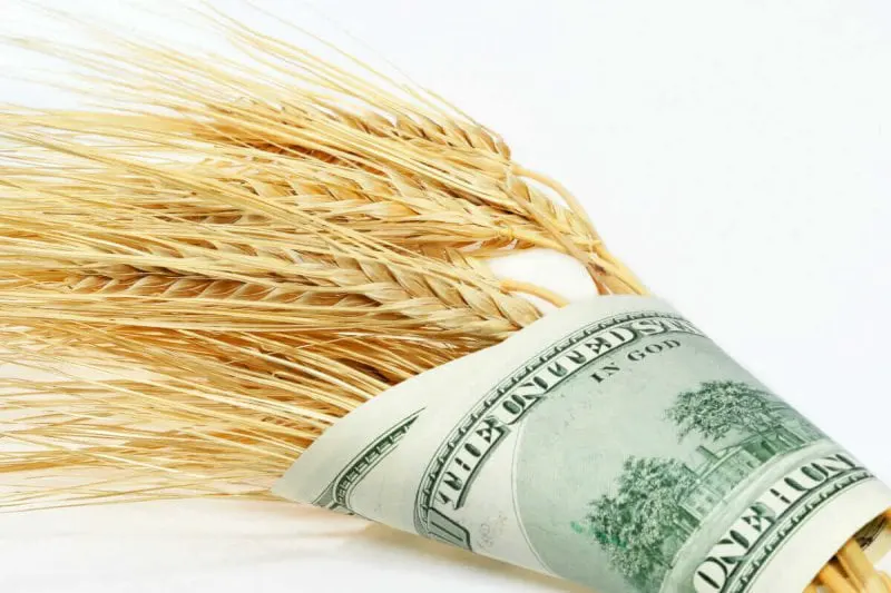 farmmoney