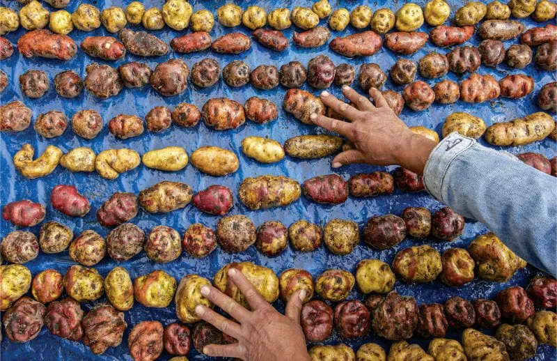 Credit: Jim Richardson/National Geographic