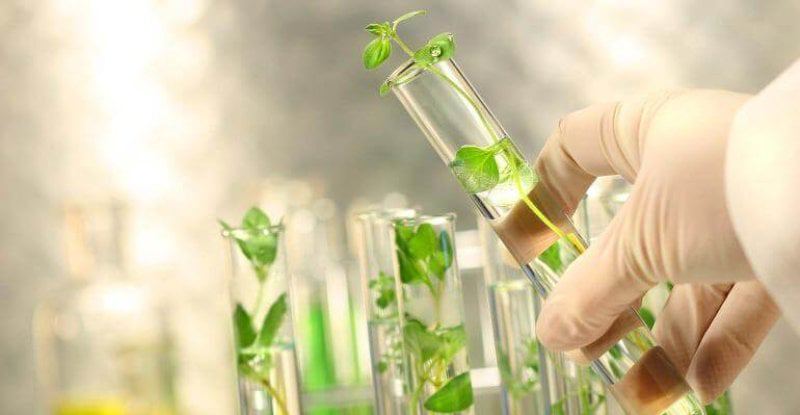 biotech biotech
