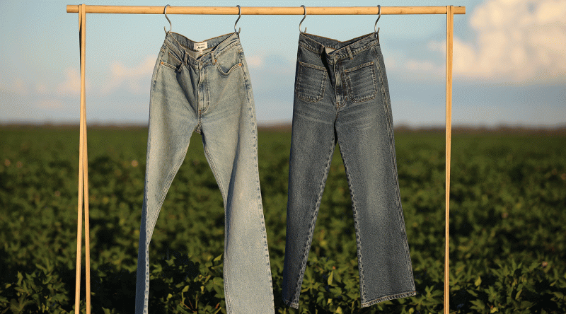 Credit: Olivia Repaci