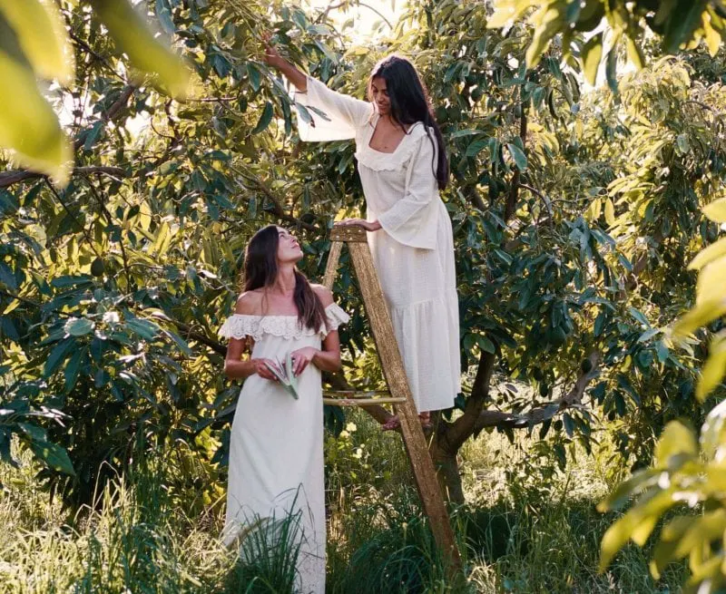 Christy Dawn, advertising their "Farm to Closet" collection that uses cotton grown with regenerative agriculture practices. Credit: Christy Dawn