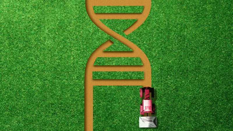 Credit: Eniola Odetunde/Axios