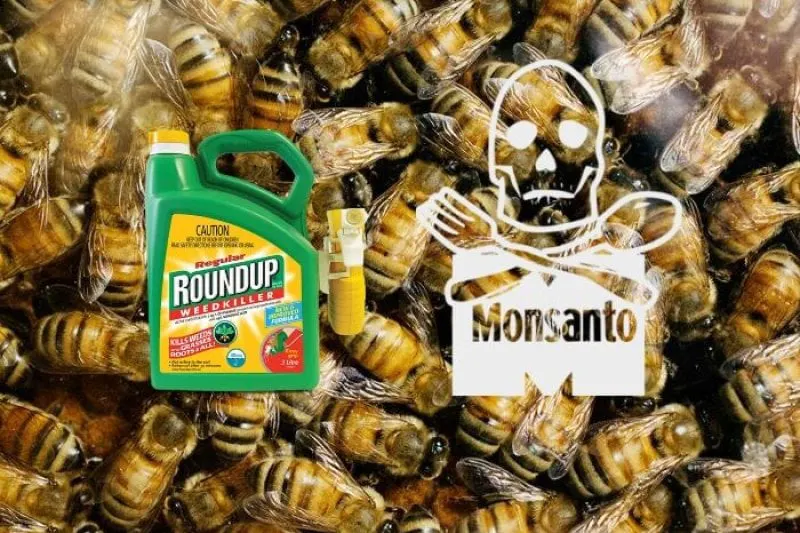 honey bees fungicides