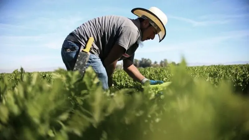 Credit: Sandy Huffaker