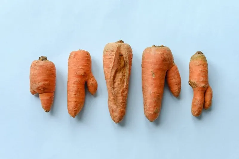 Credit: Getty Images