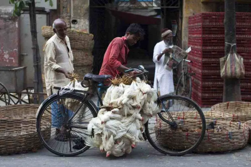 mvjqvtkhwv Credit: Xavier Galiana/AFP