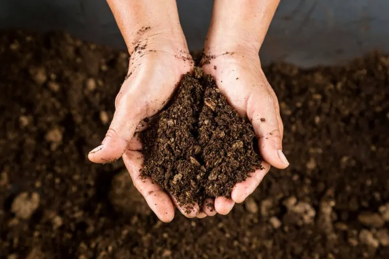 soil soil