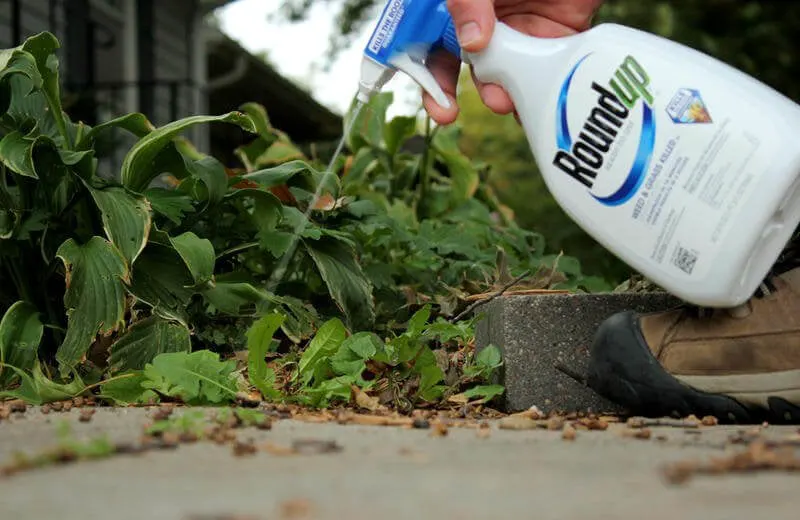 roundup spray