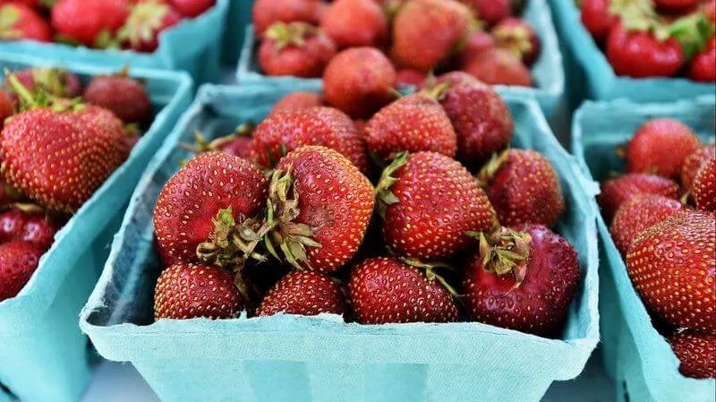 Credit: April Gamiz/Morning Call