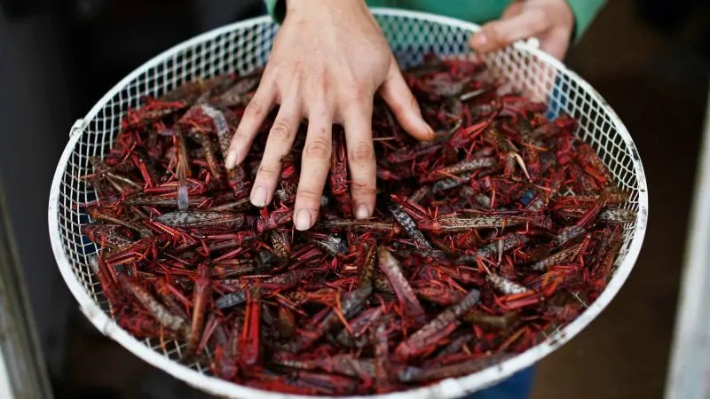 Credit: Amir Cohen/Reuters