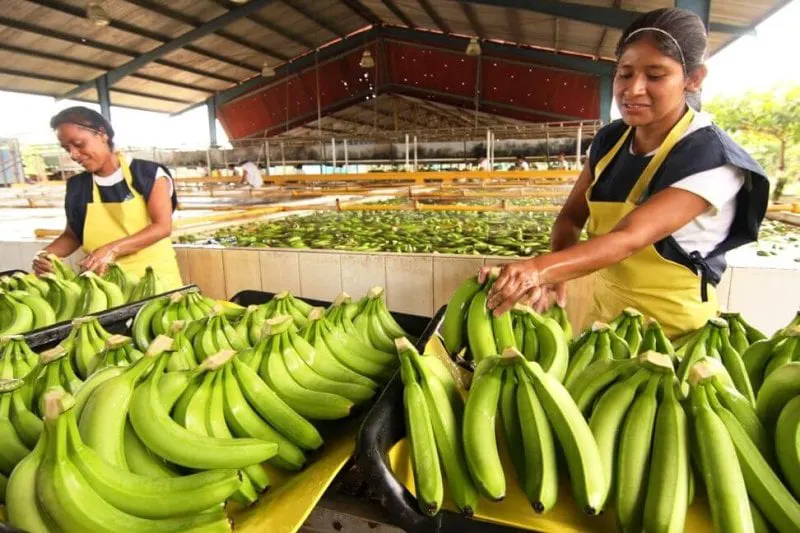 Credit: AgroAmerica