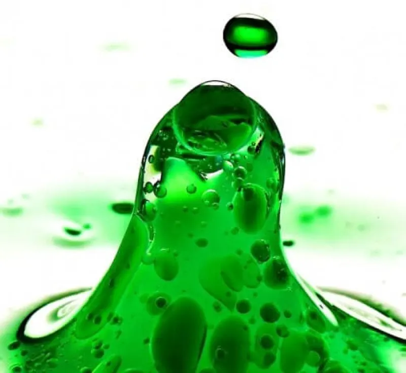 ace algae biofuel
