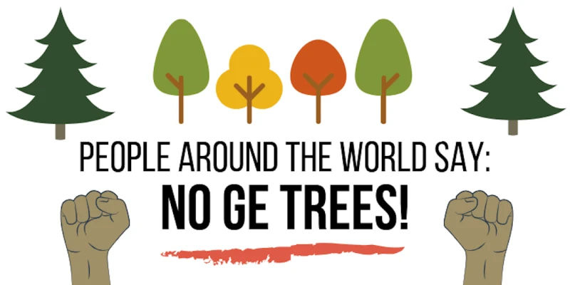 no ge trees en