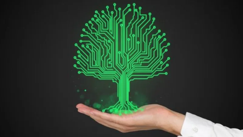 plant biosensor plant biosensor