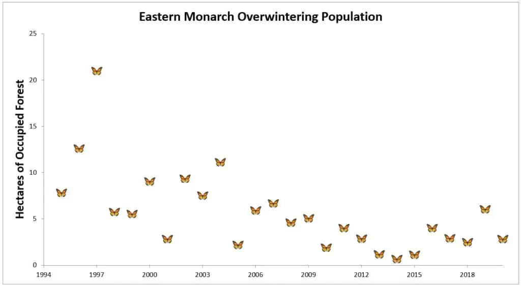 eastern monarch overwintering population tierra curry center fpwc eastern monarch overwintering population tierra curry center fpwc
