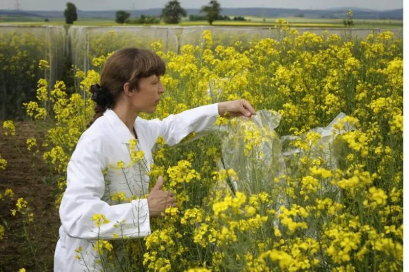 Credit: Getty Images