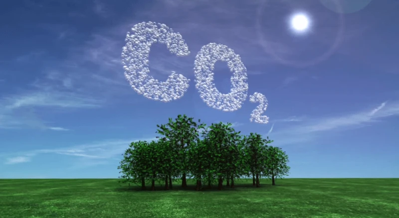 The report suggests trialling of novel agri-tech products to allow the measurement of sustainability value alongside more traditional metrics Credit: Money WeekCredit: Shutterstock