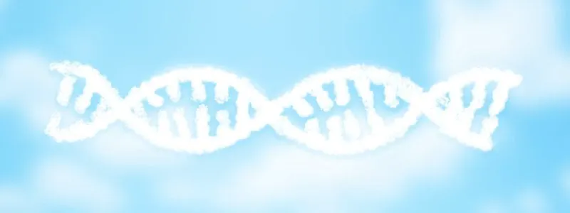 Credit: Andrew Brumagen/Freethink