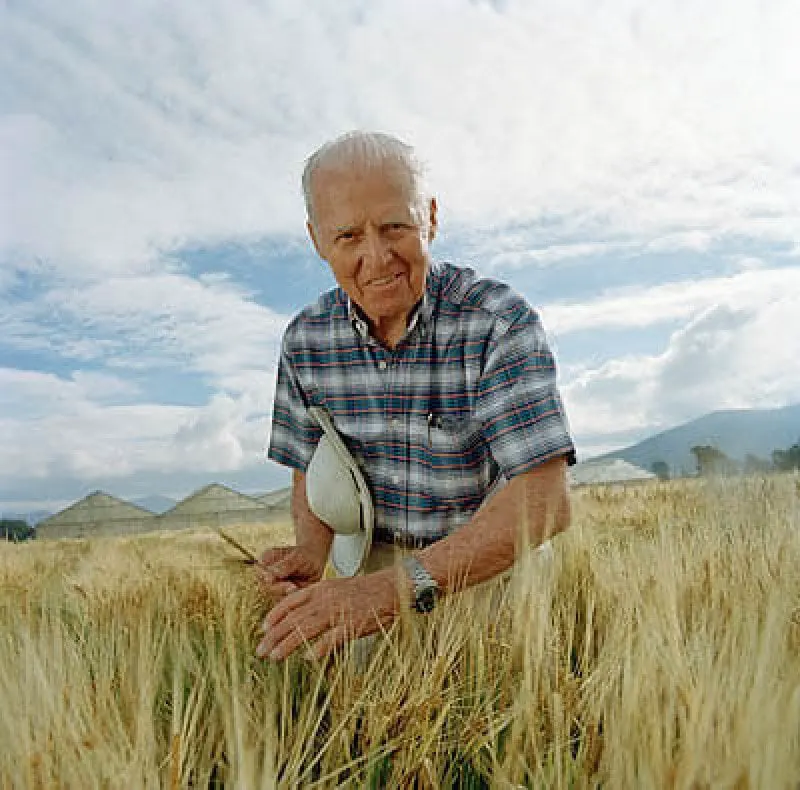 rs borlaug norman in field rs borlaug norman in field
