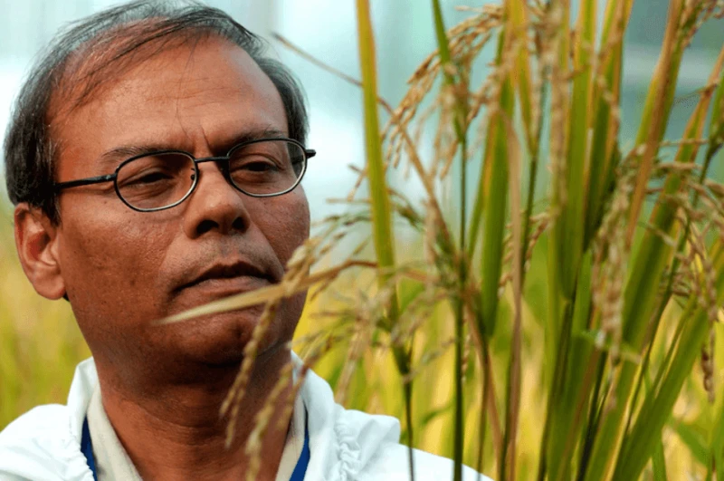 Credit: David Greedy/Getty Images