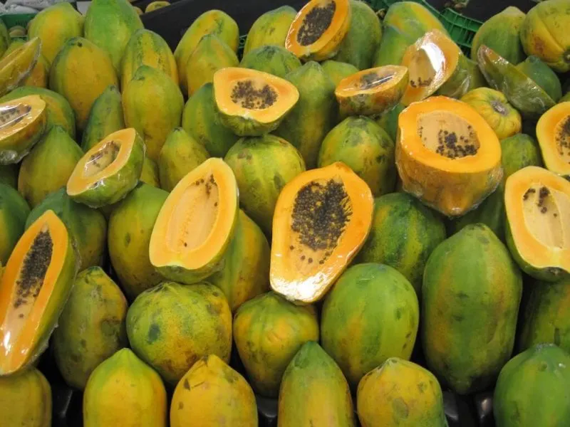 papaya papaya