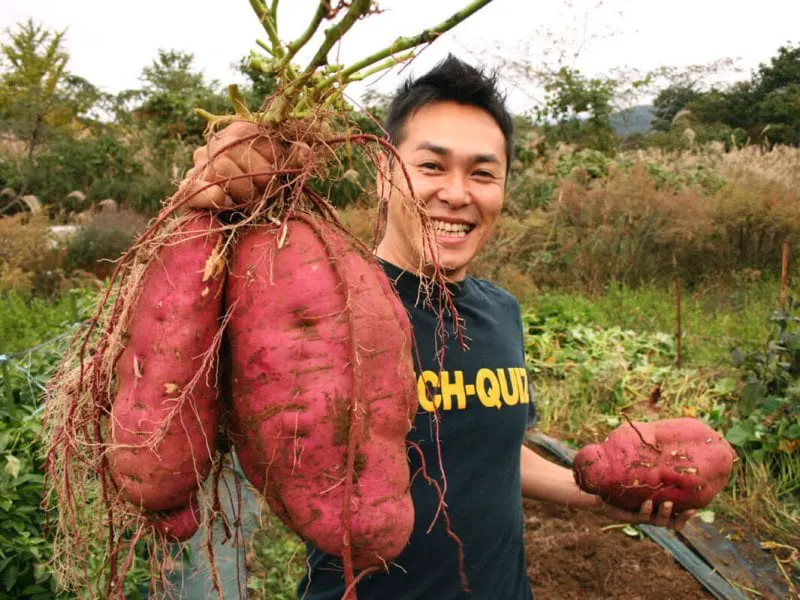 Credit: U-ichiro Murakami