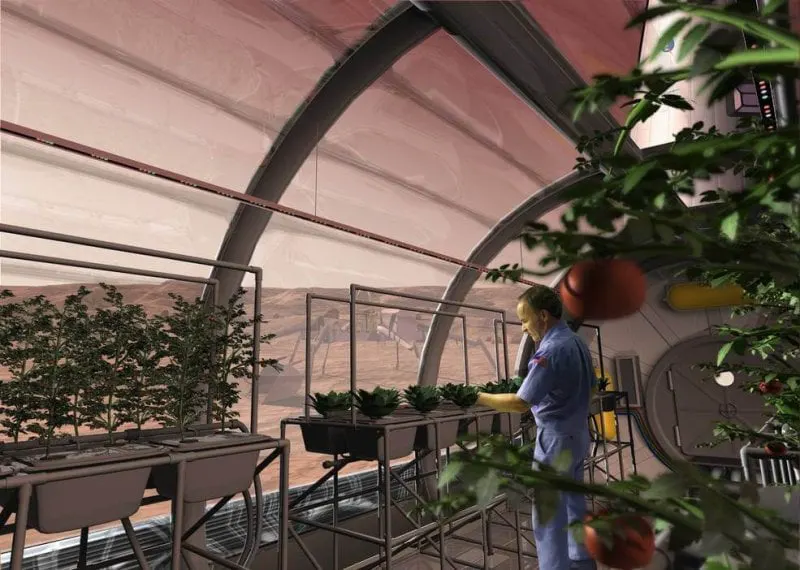 potatoes in space greenhouse potatoes in space greenhouse