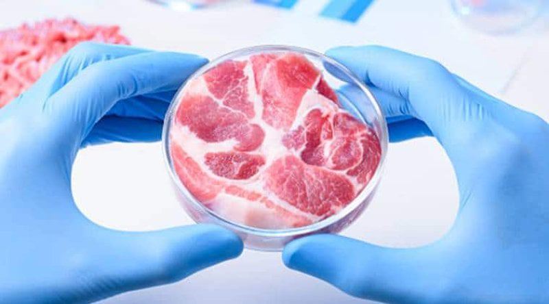 lab grown meat lab grown meat