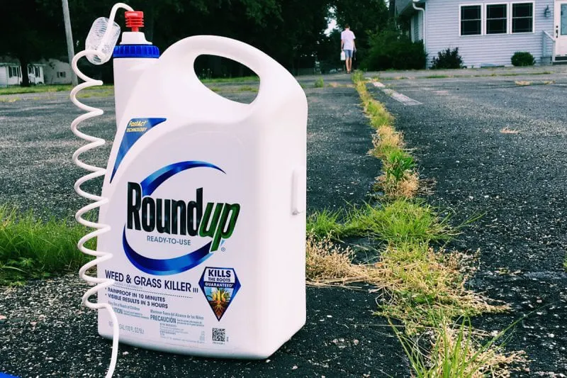 glyphosate trial spray bottle