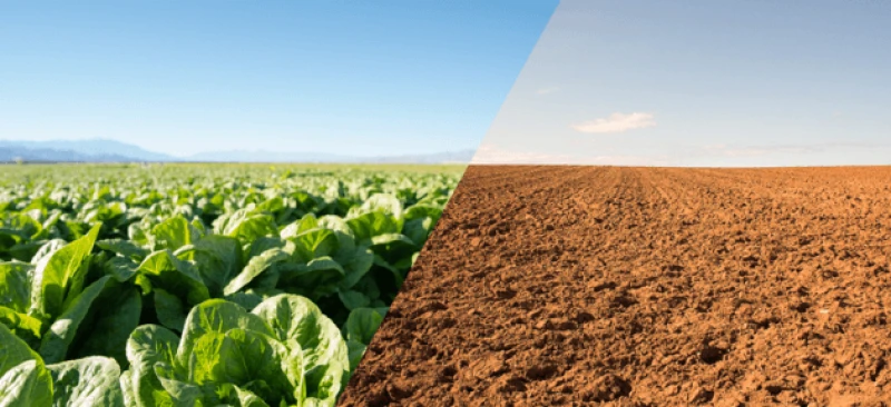 Credit: National Resources Defense Council