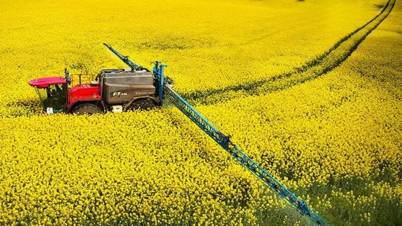 csm Oilseed canolafield bayer b a c a d